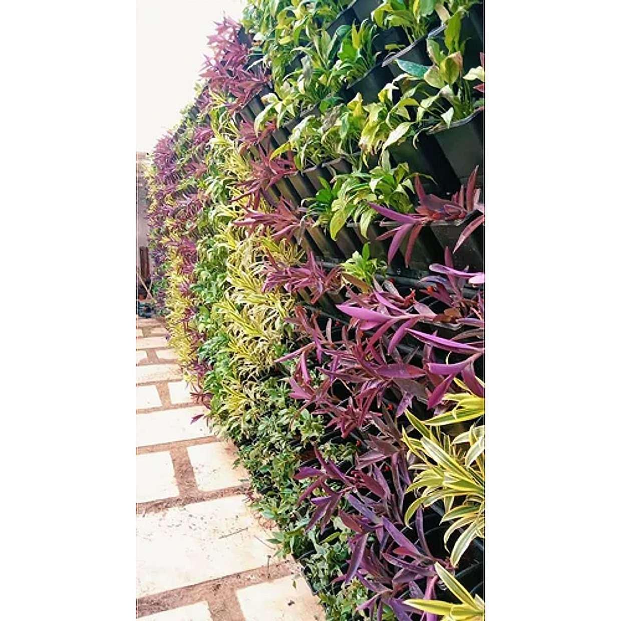 Ghar Sansar - Natural Vertical Grass 5